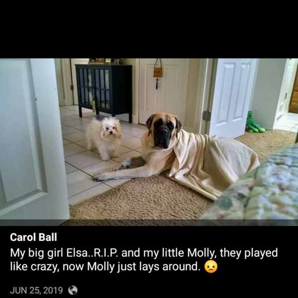 💫Meet your Posher, Missy 👑🍷🗼 - Picture 9 of 10